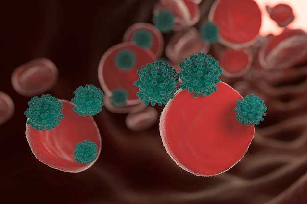 Важность лимфоцитов и их роль в иммунной системе